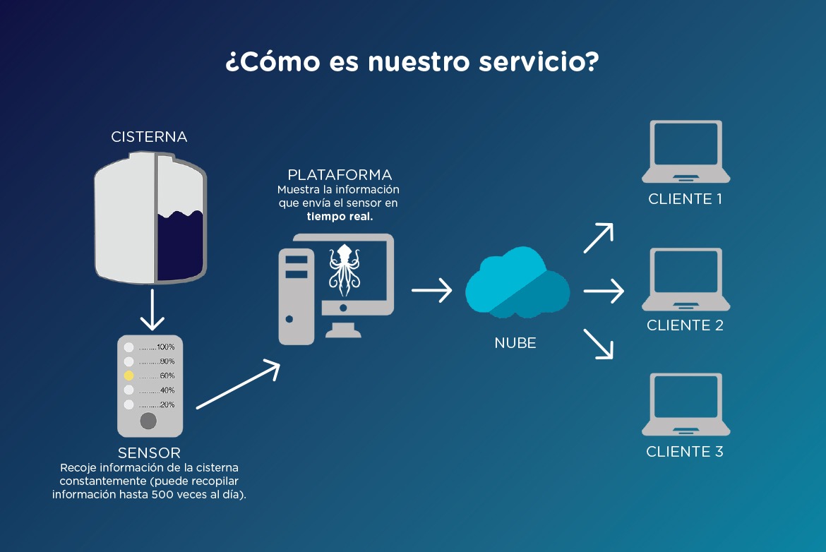 Descripción de la imagen